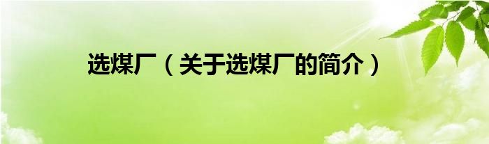 選煤廠（關(guān)于選煤廠的簡介）