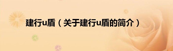 建行u盾（關(guān)于建行u盾的簡(jiǎn)介）