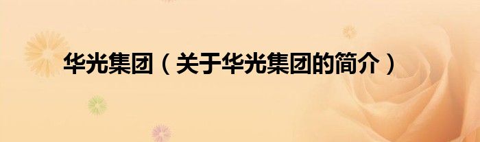 華光集團(tuán)（關(guān)于華光集團(tuán)的簡(jiǎn)介）