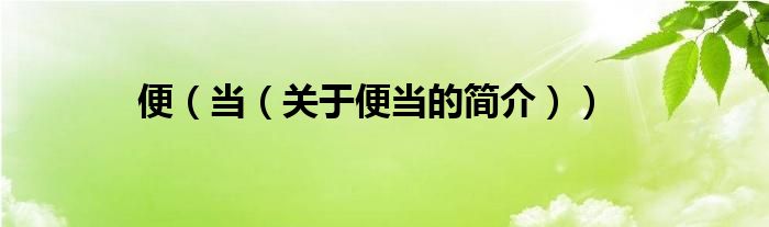 便（當(dāng)（關(guān)于便當(dāng)?shù)暮?jiǎn)介））