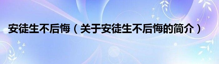 安徒生不后悔（關(guān)于安徒生不后悔的簡(jiǎn)介）