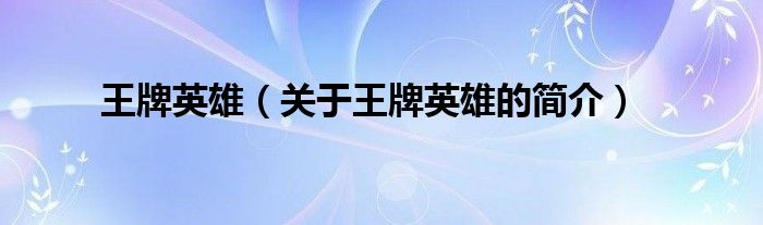 王牌英雄（關(guān)于王牌英雄的簡(jiǎn)介）