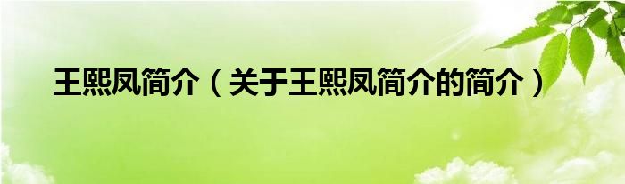 王熙鳳簡介（關于王熙鳳簡介的簡介）