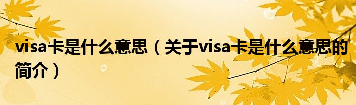 visa卡是什么意思（關(guān)于visa卡是什么意思的簡介）