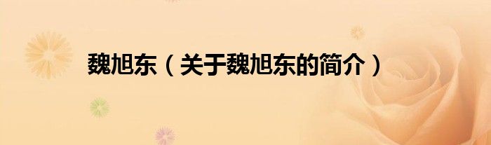 魏旭東（關(guān)于魏旭東的簡介）