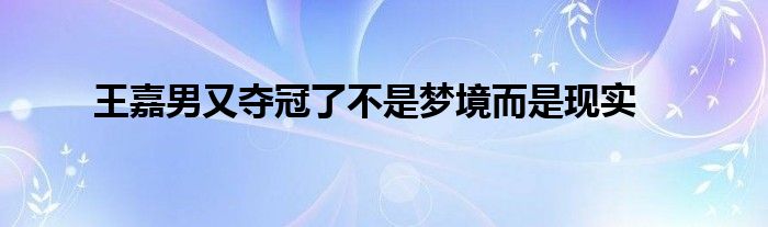 王嘉男又奪冠了不是夢境而是現實