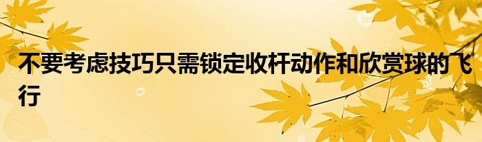 不要考慮技巧只需鎖定收桿動(dòng)作和欣賞球的飛行