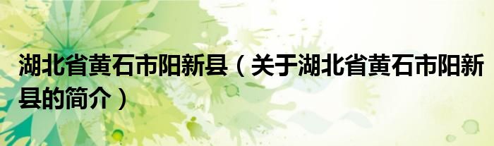 湖北省黃石市陽新縣（關(guān)于湖北省黃石市陽新縣的簡介）