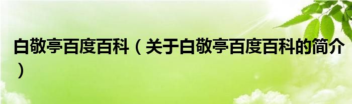 白敬亭百度百科（關于白敬亭百度百科的簡介）