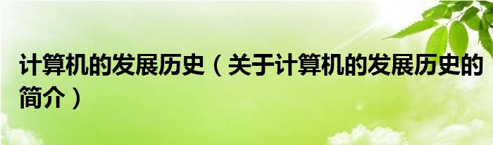 計(jì)算機(jī)的發(fā)展歷史（關(guān)于計(jì)算機(jī)的發(fā)展歷史的簡介）