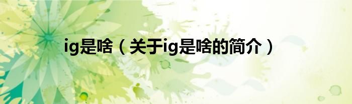 ig是啥（關(guān)于ig是啥的簡(jiǎn)介）