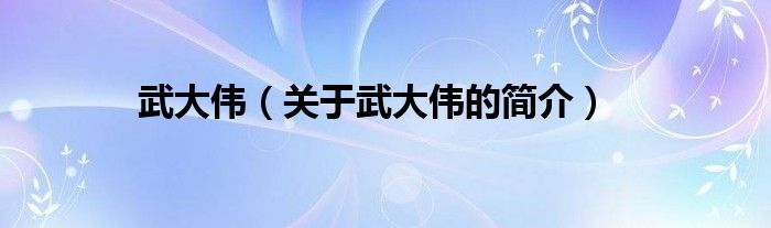 武大偉（關(guān)于武大偉的簡(jiǎn)介）