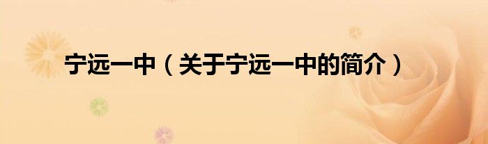 寧遠(yuǎn)一中（關(guān)于寧遠(yuǎn)一中的簡(jiǎn)介）