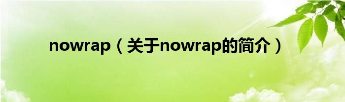 nowrap（關于nowrap的簡介）