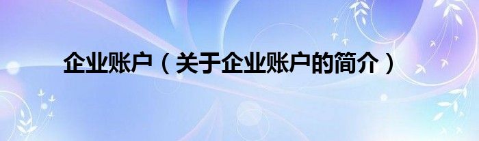 企業(yè)賬戶（關(guān)于企業(yè)賬戶的簡介）