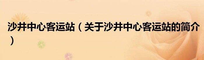 沙井中心客運(yùn)站（關(guān)于沙井中心客運(yùn)站的簡介）