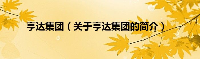 亨達集團（關(guān)于亨達集團的簡介）