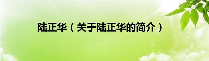 陸正華（關(guān)于陸正華的簡(jiǎn)介）