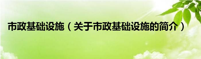 市政基礎(chǔ)設(shè)施（關(guān)于市政基礎(chǔ)設(shè)施的簡介）