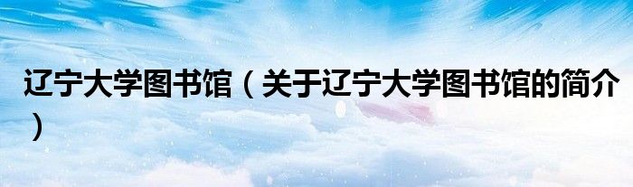 遼寧大學(xué)圖書館（關(guān)于遼寧大學(xué)圖書館的簡介）