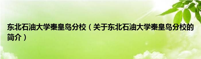 東北石油大學秦皇島分校（關(guān)于東北石油大學秦皇島分校的簡介）