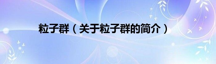 粒子群（關(guān)于粒子群的簡(jiǎn)介）