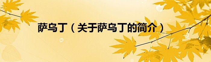 薩烏?。P(guān)于薩烏丁的簡(jiǎn)介）