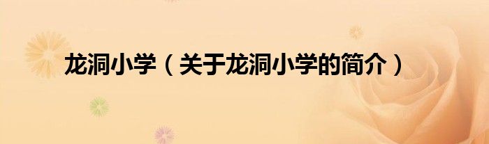 龍洞小學(xué)（關(guān)于龍洞小學(xué)的簡(jiǎn)介）