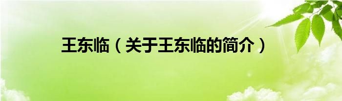 王東臨（關(guān)于王東臨的簡(jiǎn)介）