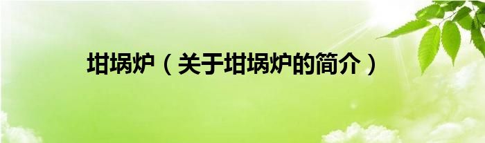 坩堝爐（關(guān)于坩堝爐的簡(jiǎn)介）