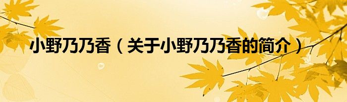 小野乃乃香（關(guān)于小野乃乃香的簡(jiǎn)介）