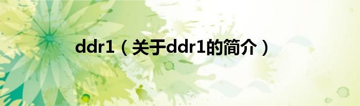 ddr1（關(guān)于ddr1的簡(jiǎn)介）