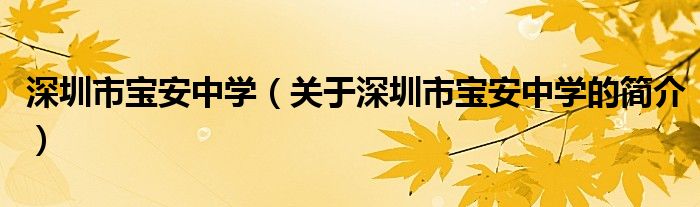 深圳市寶安中學（關(guān)于深圳市寶安中學的簡介）