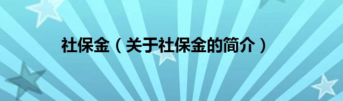 社保金（關(guān)于社保金的簡(jiǎn)介）