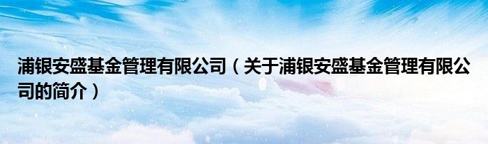 浦銀安盛基金管理有限公司（關(guān)于浦銀安盛基金管理有限公司的簡介）