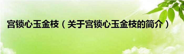 宮鎖心玉金枝（關(guān)于宮鎖心玉金枝的簡(jiǎn)介）