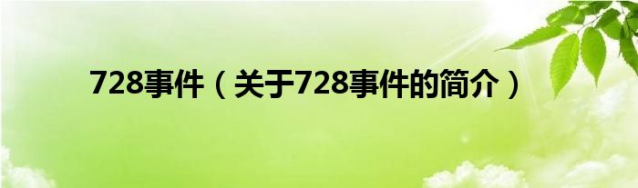 728事件（關(guān)于728事件的簡(jiǎn)介）