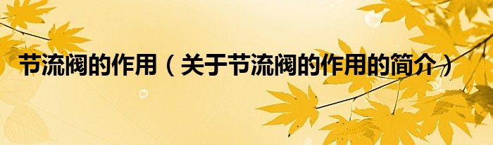 節(jié)流閥的作用（關(guān)于節(jié)流閥的作用的簡(jiǎn)介）