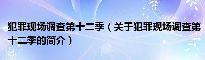 犯罪現(xiàn)場(chǎng)調(diào)查第十二季（關(guān)于犯罪現(xiàn)場(chǎng)調(diào)查第十二季的簡(jiǎn)介）