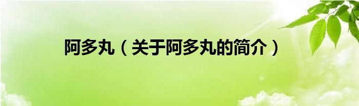 阿多丸（關(guān)于阿多丸的簡介）