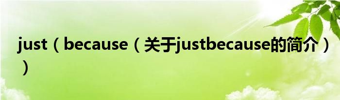 just（because（關(guān)于justbecause的簡介））