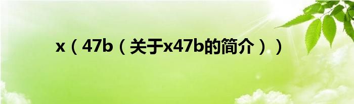 x（47b（關(guān)于x47b的簡(jiǎn)介））