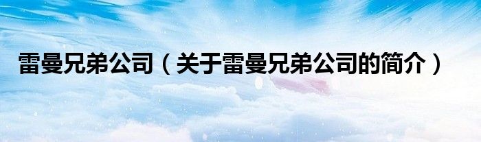 雷曼兄弟公司（關(guān)于雷曼兄弟公司的簡介）