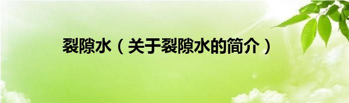 裂隙水（關(guān)于裂隙水的簡(jiǎn)介）