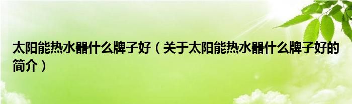 太陽(yáng)能熱水器什么牌子好（關(guān)于太陽(yáng)能熱水器什么牌子好的簡(jiǎn)介）