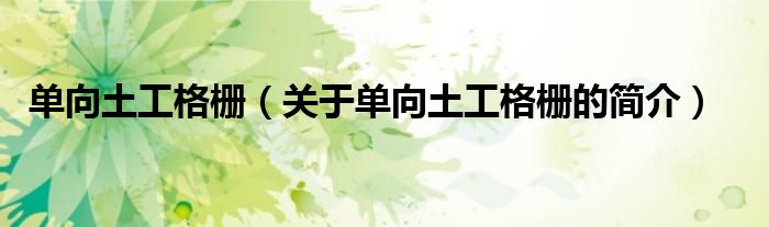 單向土工格柵（關(guān)于單向土工格柵的簡(jiǎn)介）