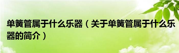 單簧管屬于什么樂器（關于單簧管屬于什么樂器的簡介）