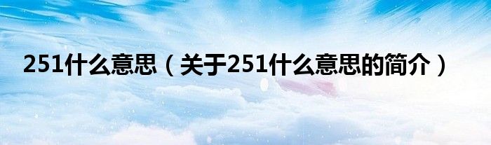 251什么意思（關(guān)于251什么意思的簡介）