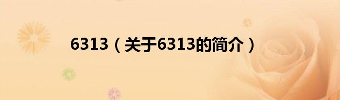 6313（關(guān)于6313的簡介）