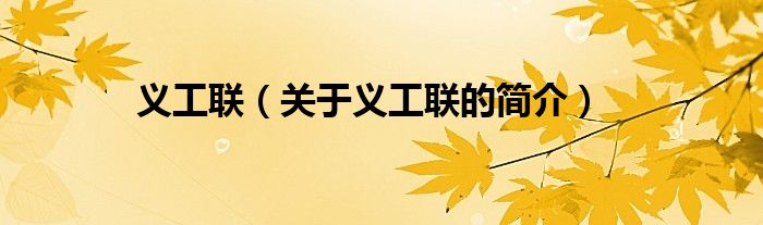 義工聯(lián)（關(guān)于義工聯(lián)的簡(jiǎn)介）